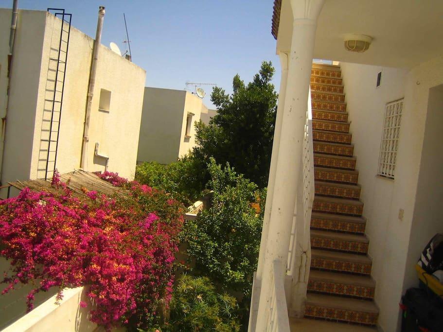 Studio Marsa La Marsa Dış mekan fotoğraf