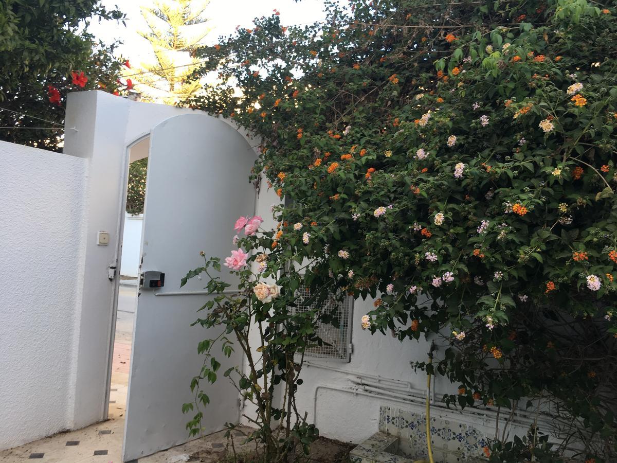 Studio Marsa La Marsa Dış mekan fotoğraf